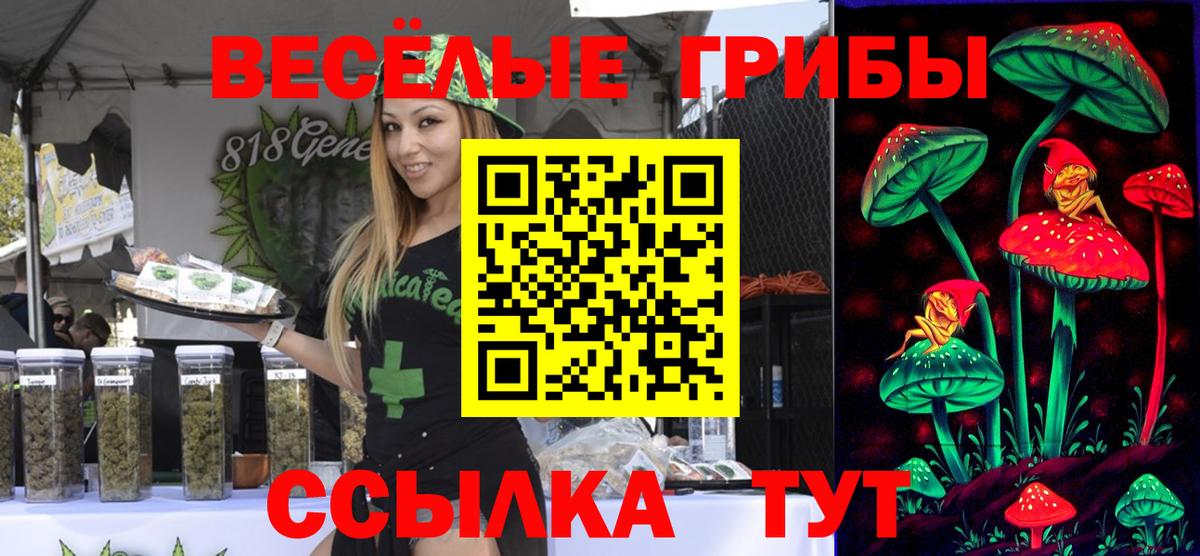 Галлюциногенные грибы Magic Shrooms Обнинск