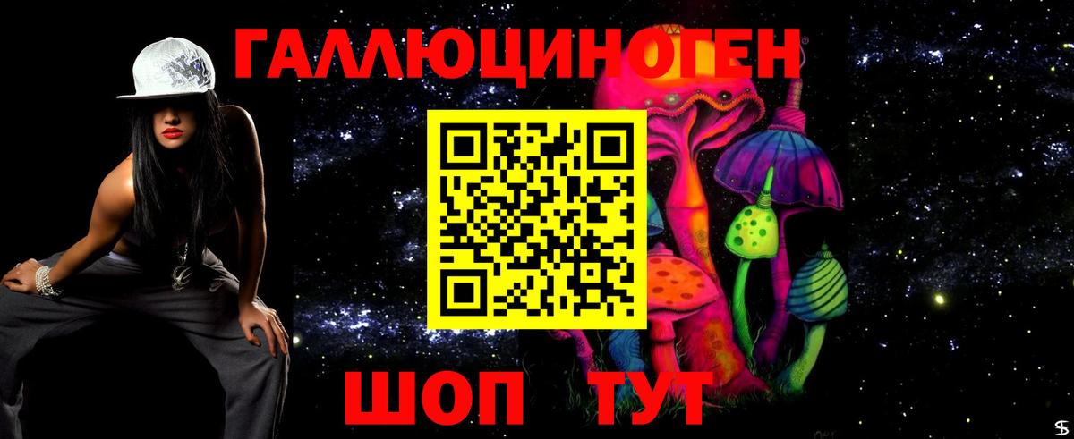 Обнинск  Галлюциногенные грибы Psilocybine cubensis  Вход с VPN  Псилоцибиновые грибы Psilocybe 